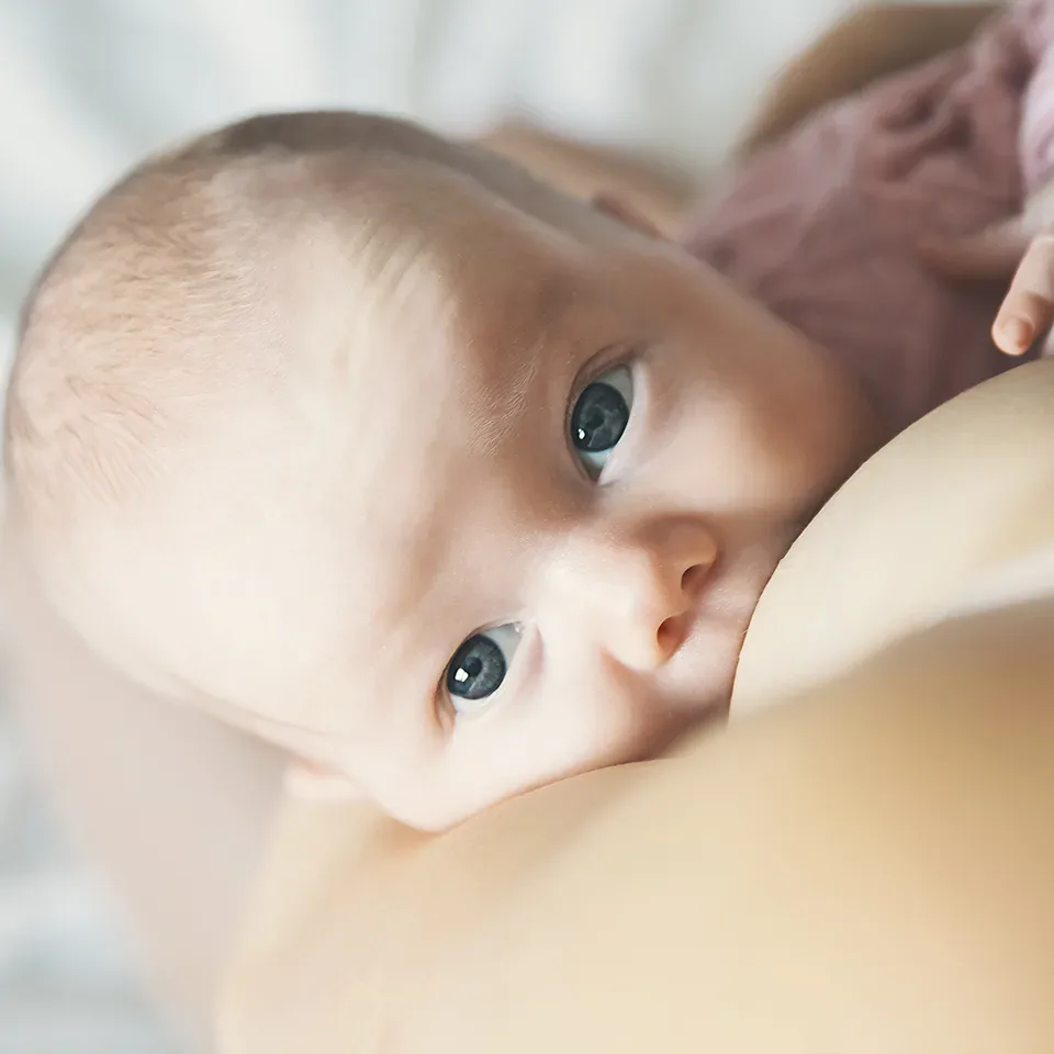 Dudas más frecuentes acerca de la lactancia