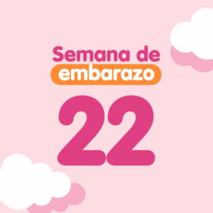 Semana 22 de embarazo