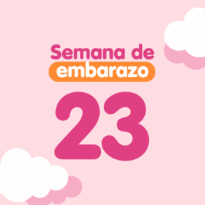 Semana 23 de embarazo