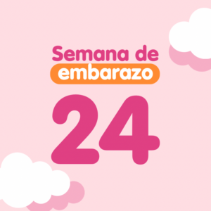 Semana 24 de embarazo