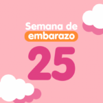 Semana 25 de embarazo