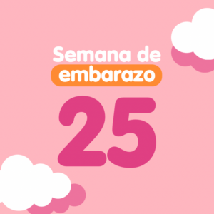 Semana 25 de embarazo