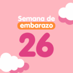 Semana 26 de embarazo