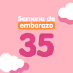 Semana 35 de embarazo