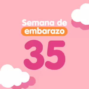 Semana 35 de embarazo