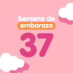 Semana 37 de embarazo