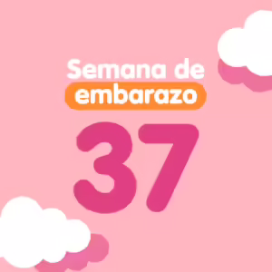 Semana 37 de embarazo