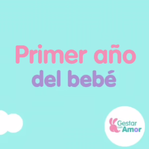 primer año del bebé