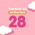 Semana 28 de embarazo