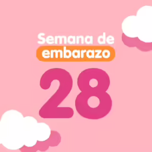 Semana 28 de embarazo