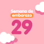 Semana 29 de embarazo