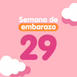 Semana 29 de embarazo