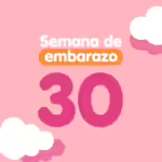 Semana 30 de embarazo