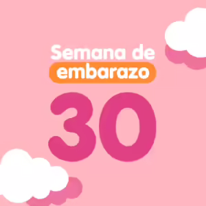 Semana 30 de embarazo