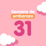 Semana 31 de embarazo