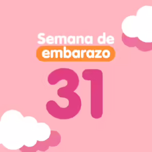 Semana 31 de embarazo