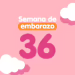 Semana 36 de embarazo