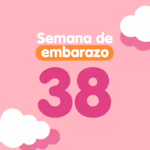 Semana 38 de embarazo