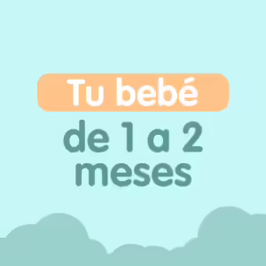 Primer mes y medio del bebé