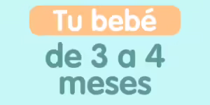 tu bebe de 3 a 4 meses