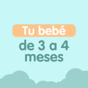 tu bebe de 3 a 4 meses