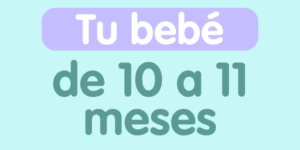 tu bebe de 10 a 11 meses