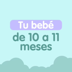 tu bebe de 10 a 11 meses