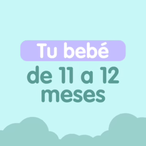 mes 11 y medio del bebe