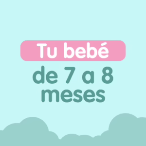 tu bebe de 7 a 8 meses