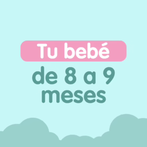 tu bebe de 8 a 9 meses