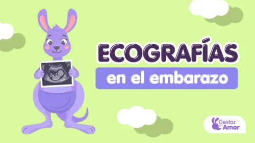 ecografía